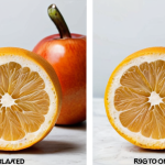 Here are two image prompts based on the provided text: